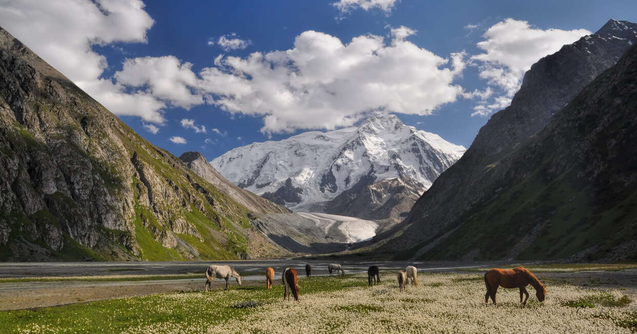 A small herd of horses grazing near Issyk-Kul Lake in Kyrgyzstan